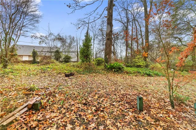 a view of a yard with plants and trees