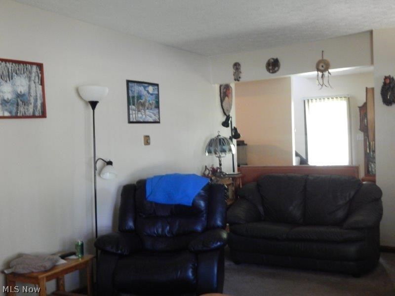 8653 Peck Road Ravenna, OH 44266 - Photo 9 of 15 Gallery Image 9