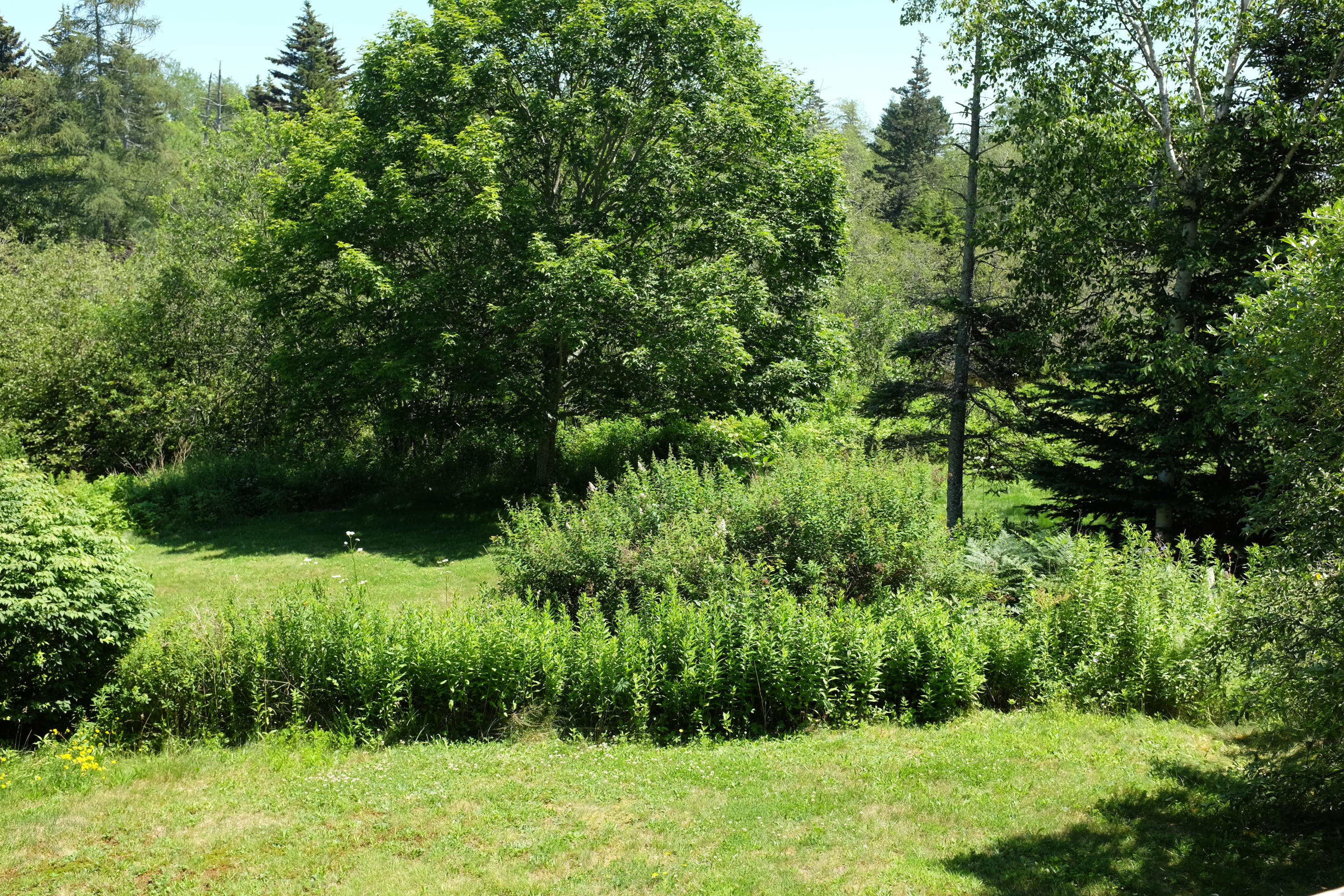 20 Bernard Road Bernard, ME 04612 - Photo 15 of 42 DSCF5498