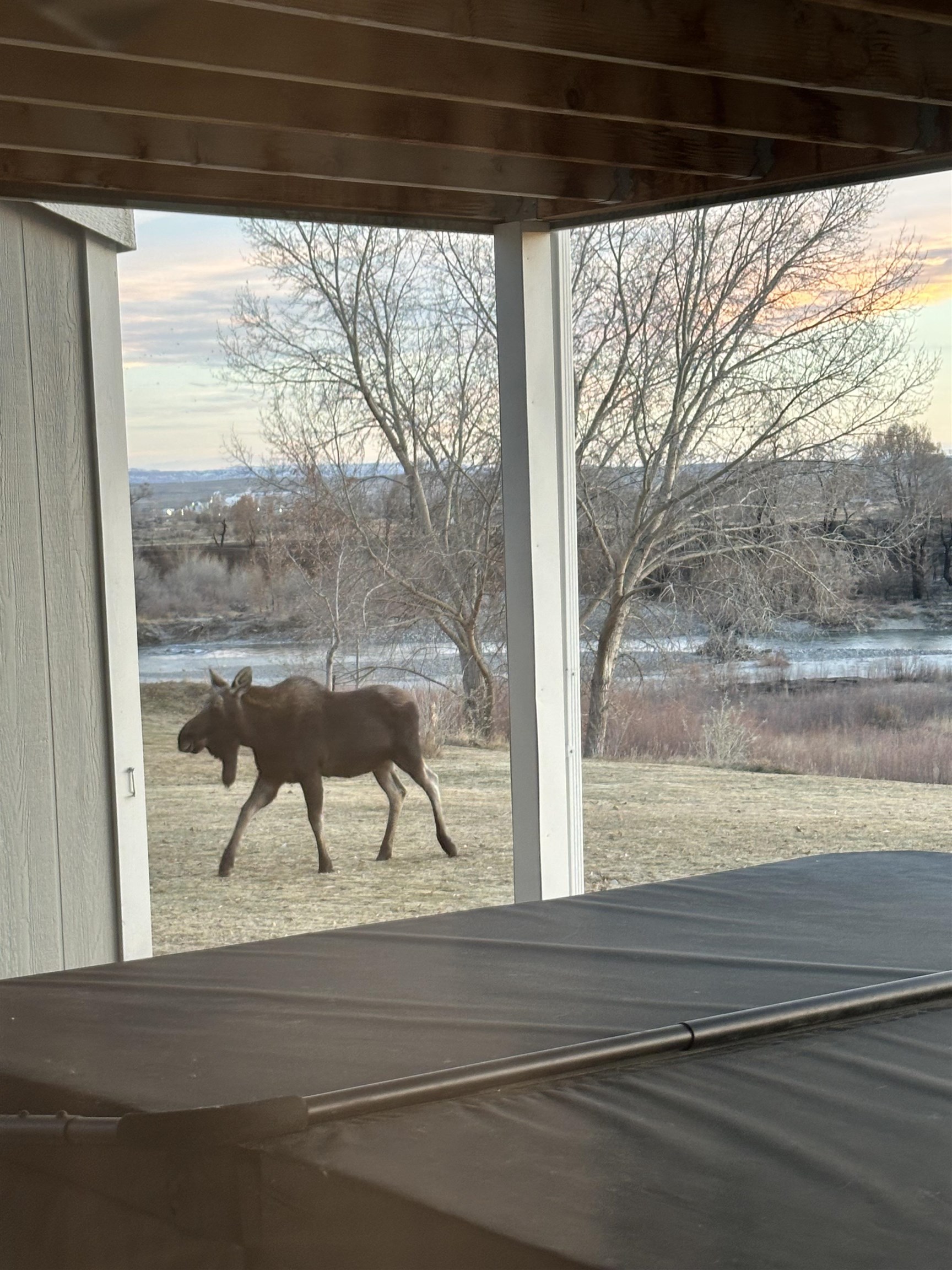 3215 Riverside Drive Riverton, WY 82501 - Photo 50 of 50