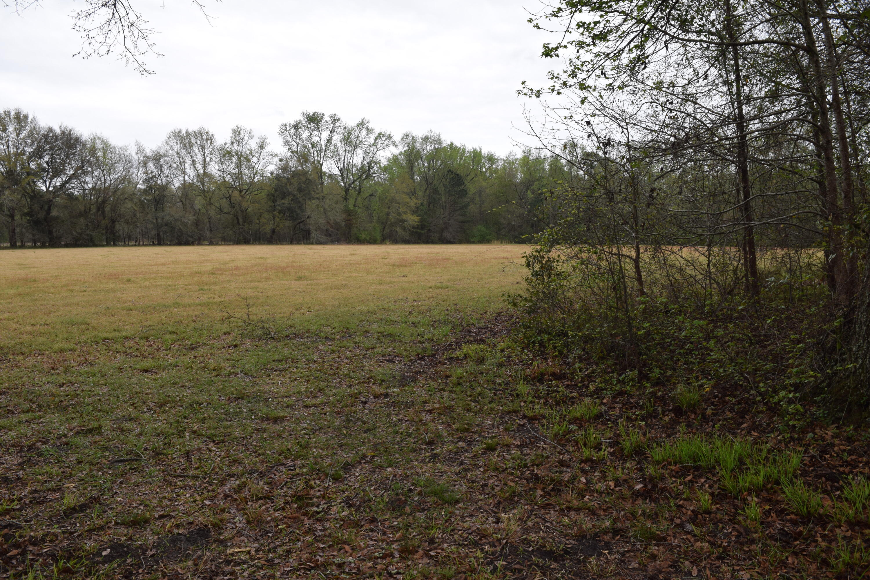 1 County Rd S-18-182 Ridgeville, SC 29472 - Photo 3 of 16 Myers Mayo