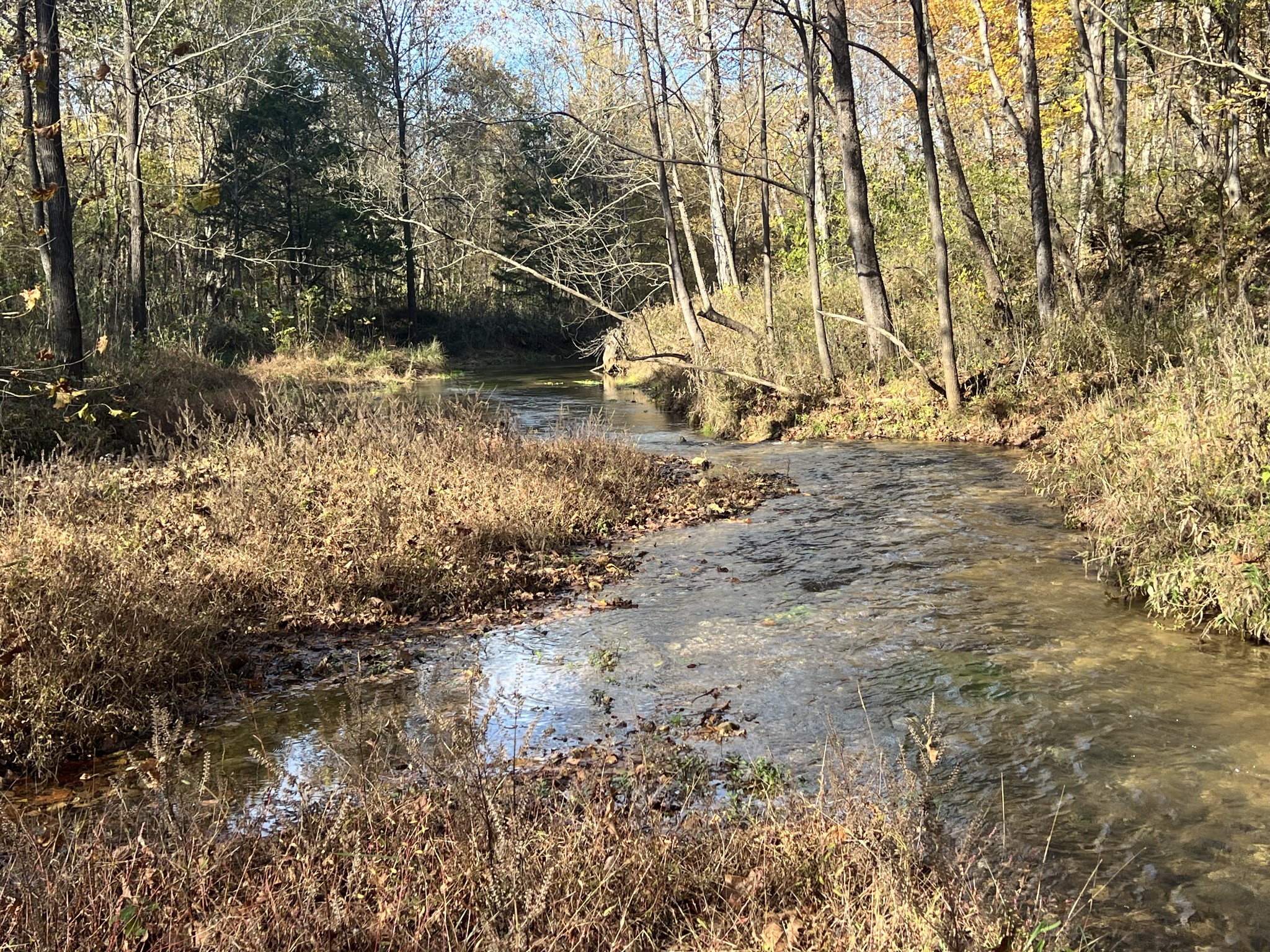 901 Britton Springs Road Clarksville, TN 37042 - Photo 11 of 31 a view of house with a yard