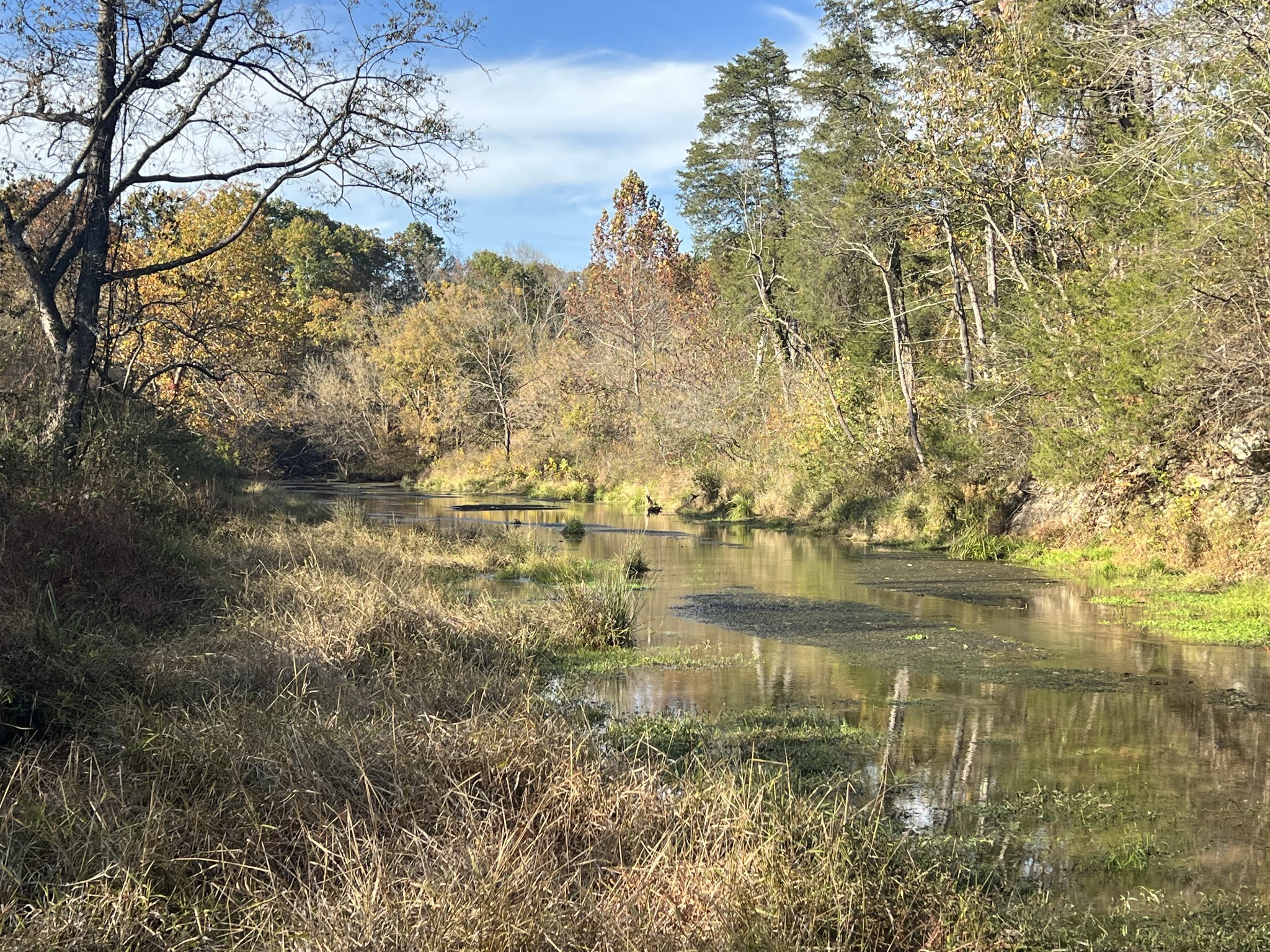 901 Britton Springs Road Clarksville, TN 37042 - Photo 12 of 31