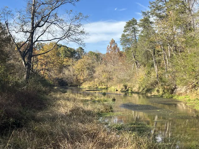 a view of a lake with mountain