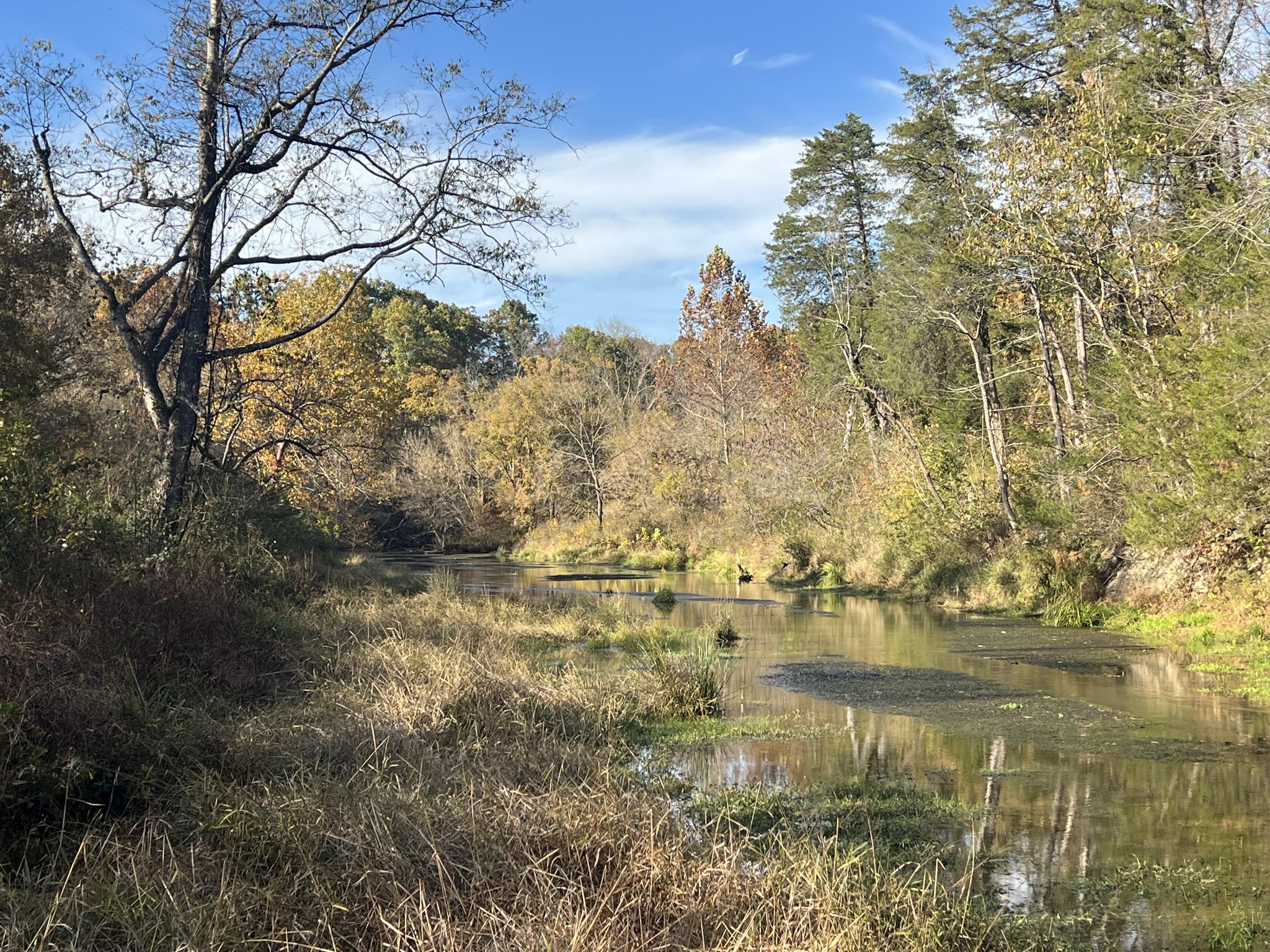 901 Britton Springs Road Clarksville, TN 37042 - Photo 13 of 31 a view of lake view
