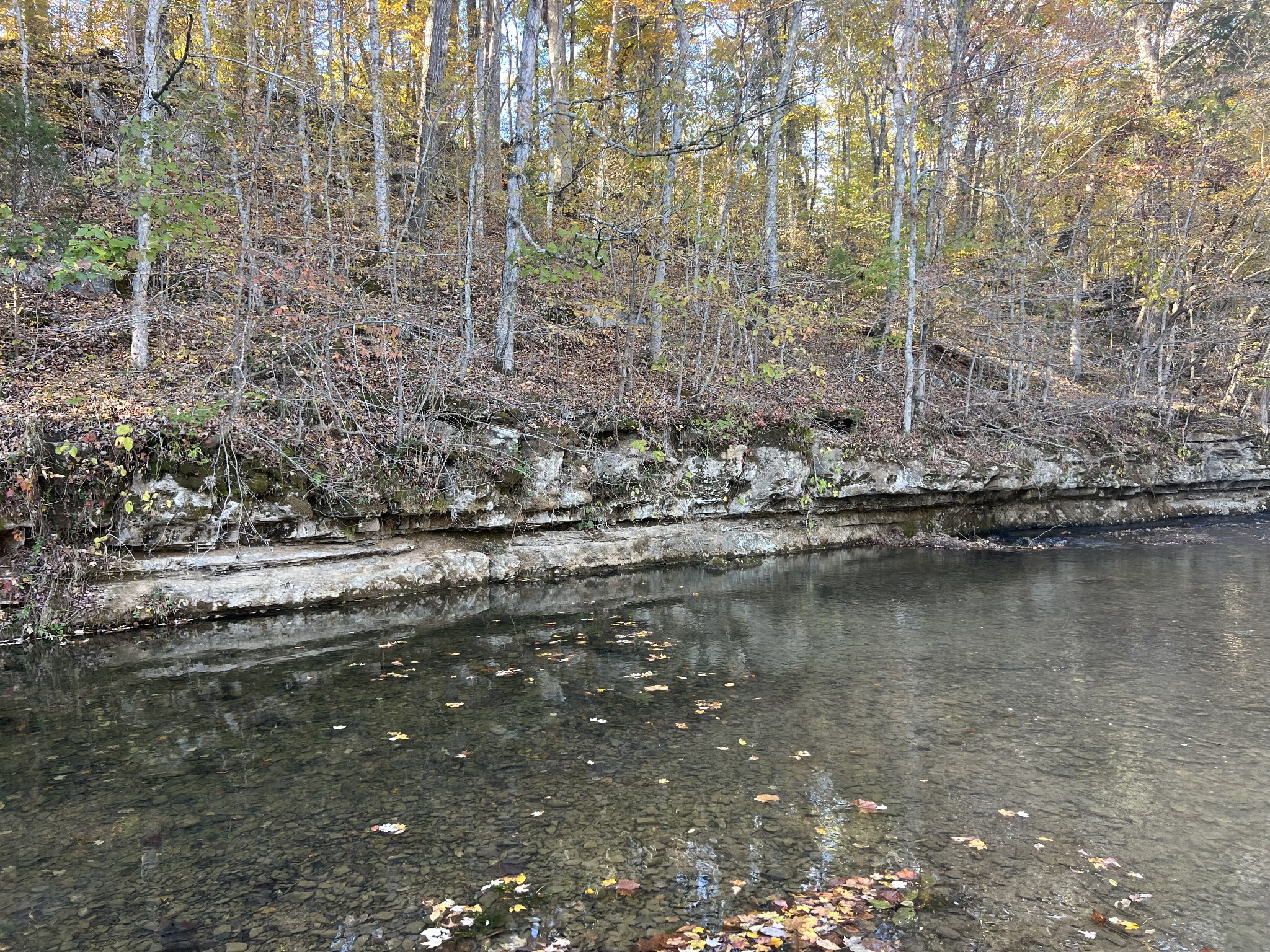 901 Britton Springs Road Clarksville, TN 37042 - Photo 17 of 31 a view of a lake with mountain
