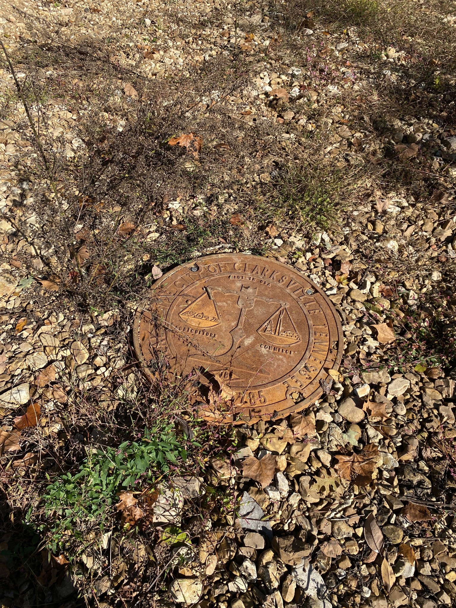 901 Britton Springs Road Clarksville, TN 37042 - Photo 2 of 31