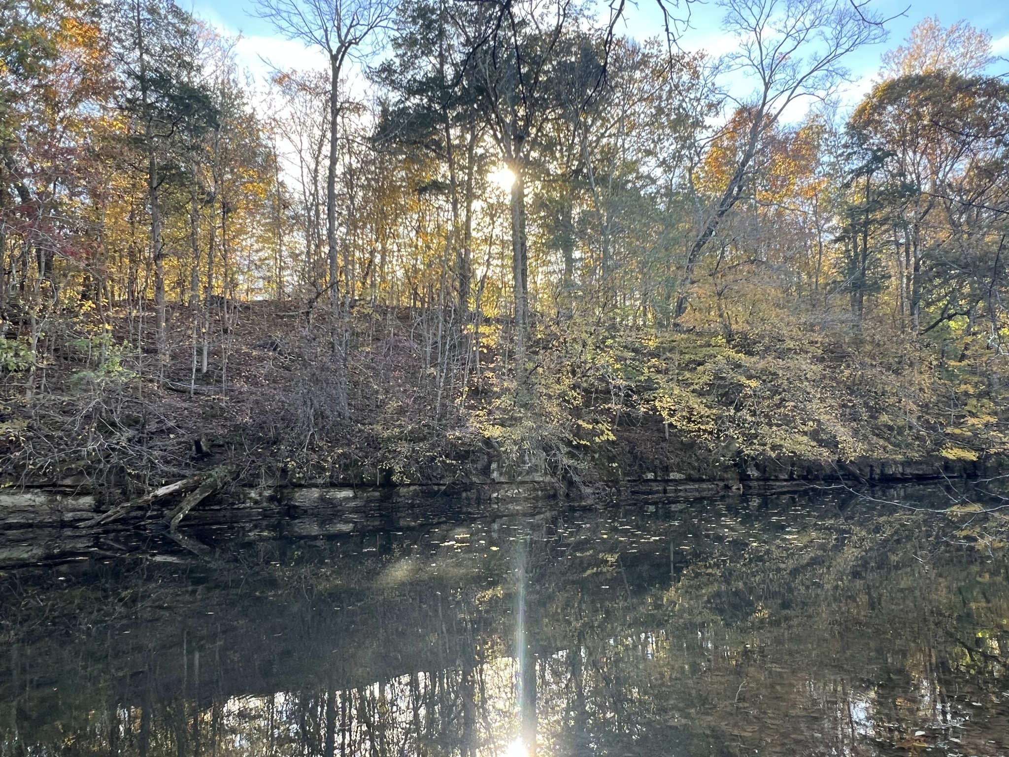 901 Britton Springs Road Clarksville, TN 37042 - Photo 22 of 31 a backyard of a house with lots of green space