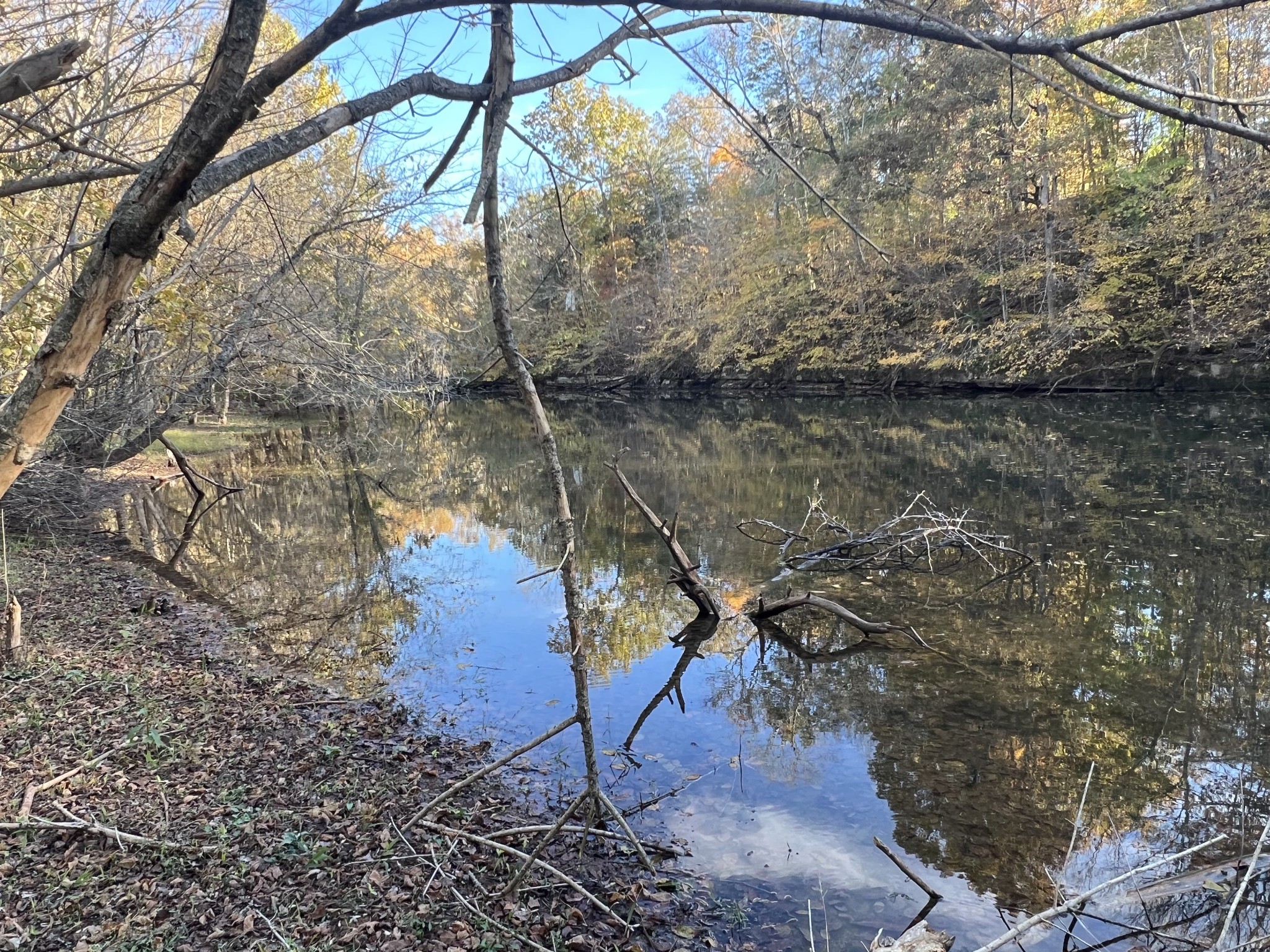 901 Britton Springs Road Clarksville, TN 37042 - Photo 23 of 31 a view of lake from a tree