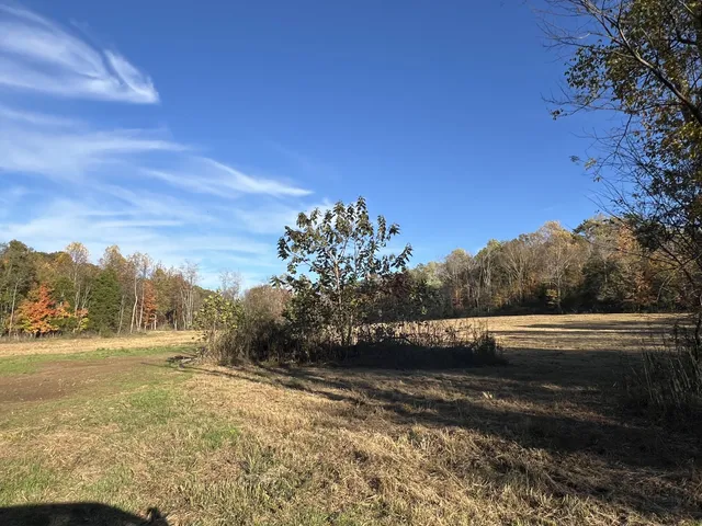 a view of an ocean beach