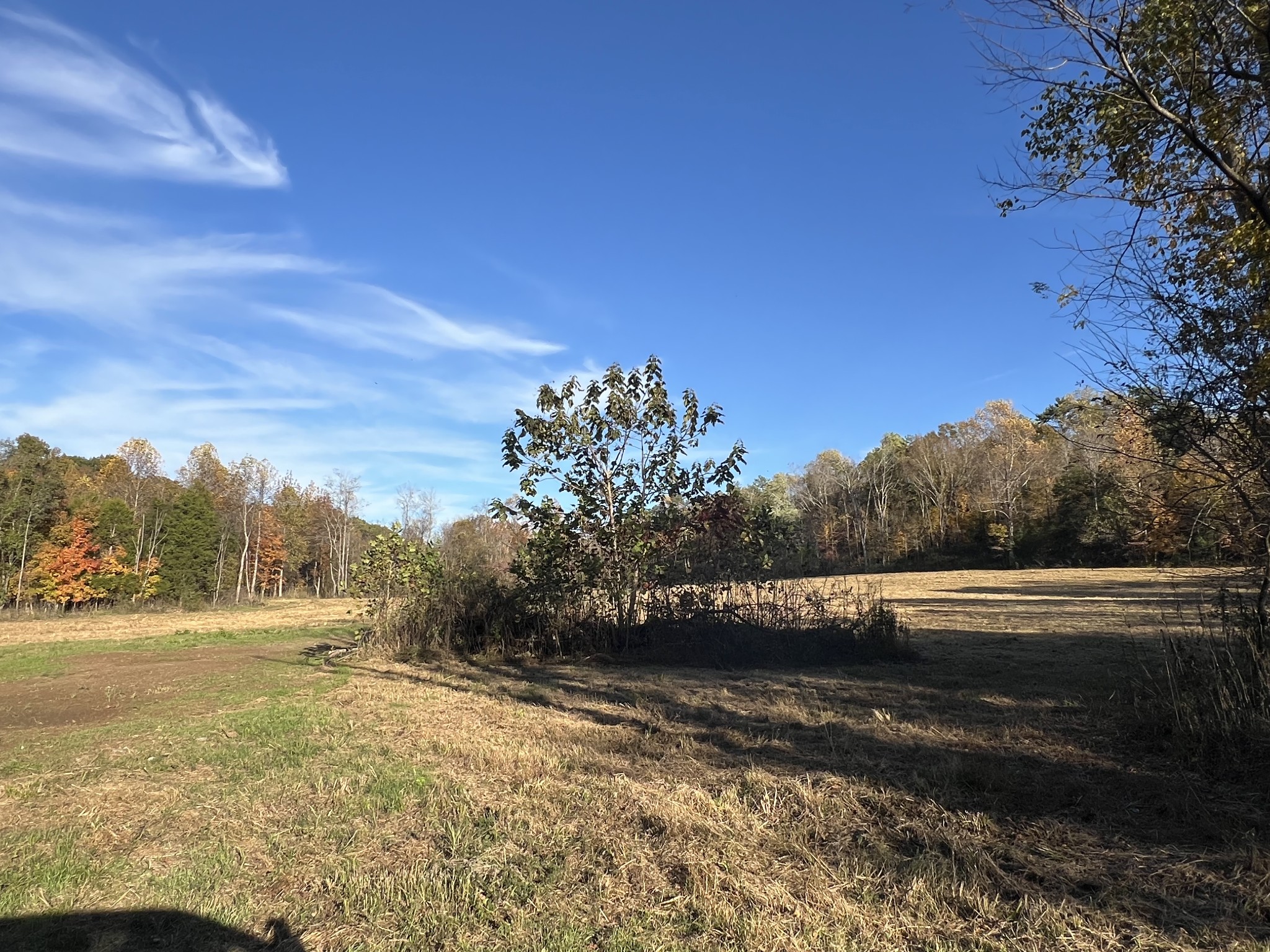 901 Britton Springs Road Clarksville, TN 37042 - Photo 27 of 31 a view of mountain view with lake view