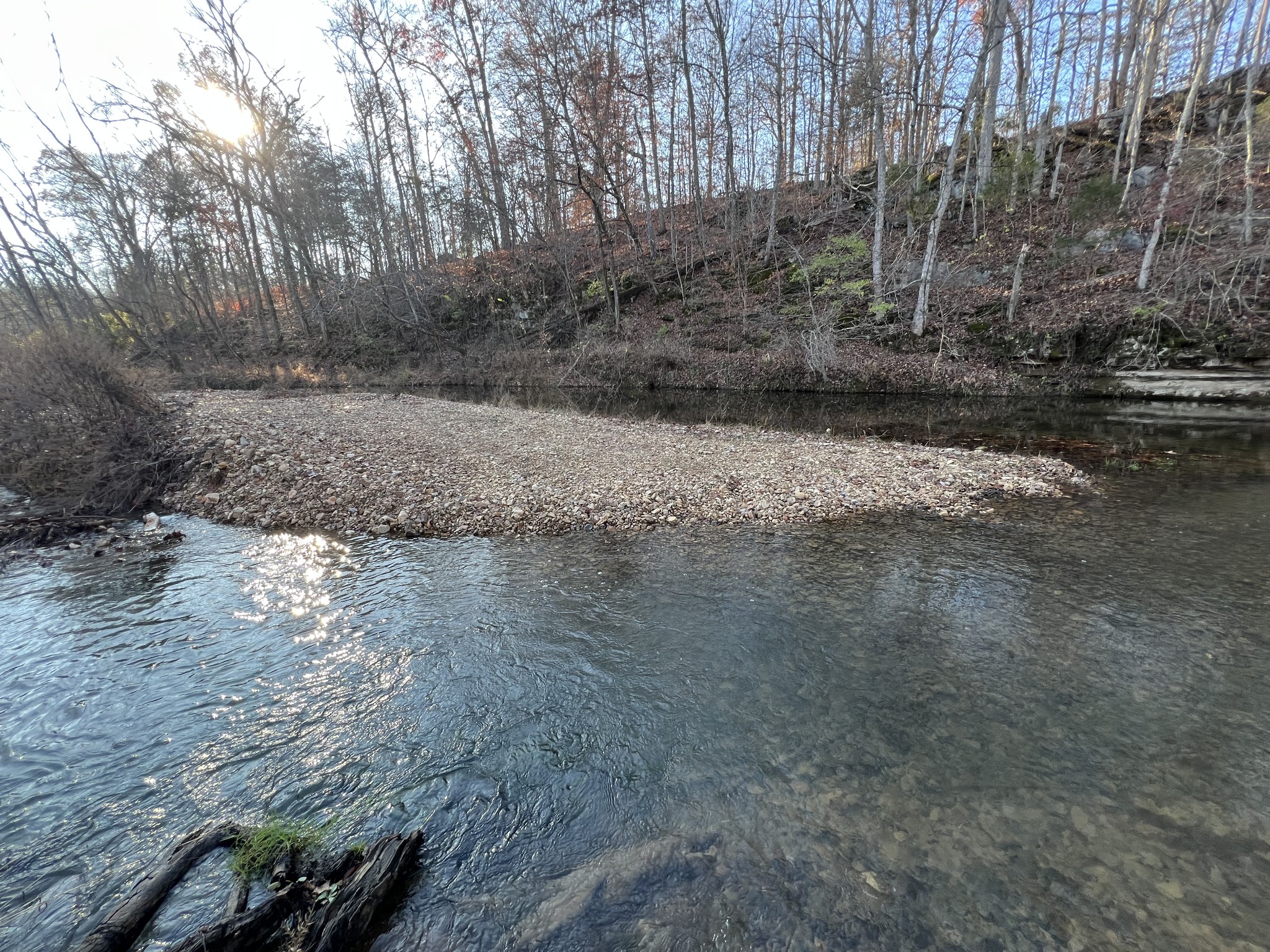 901 Britton Springs Road Clarksville, TN 37042 - Photo 29 of 31 a view of dirt yard with a large tree