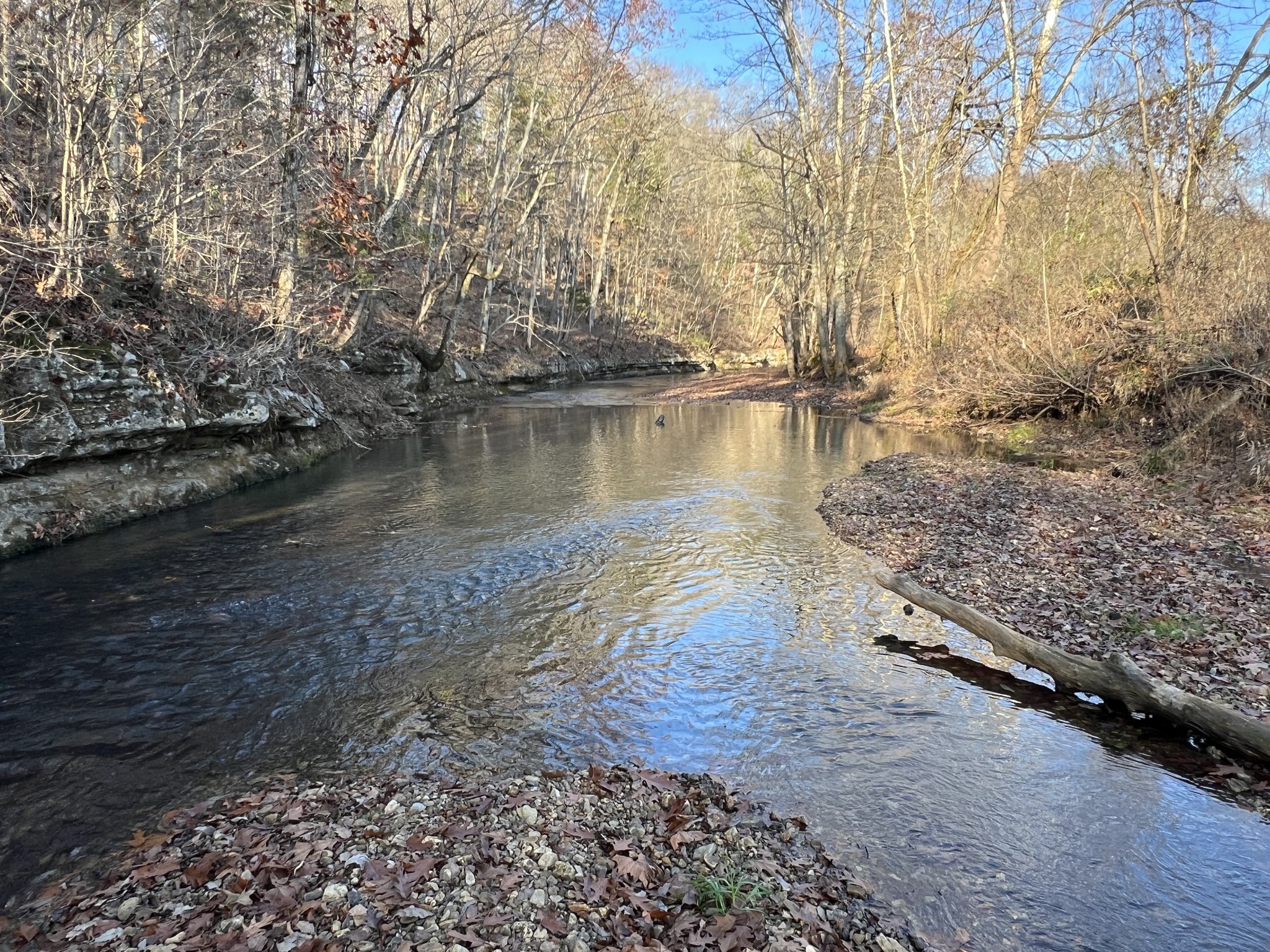 901 Britton Springs Road Clarksville, TN 37042 - Photo 30 of 31 a view of a lake with houses