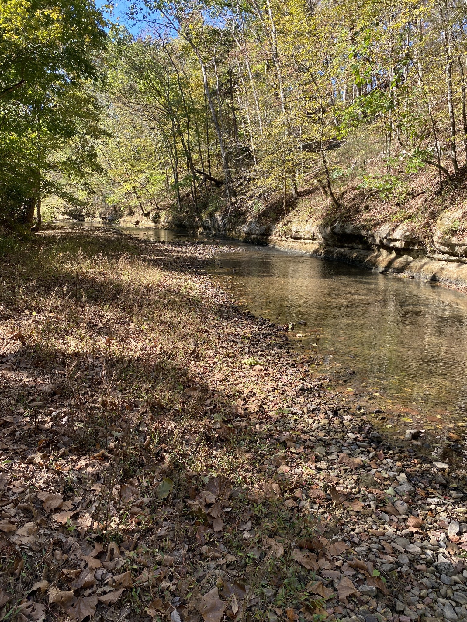 901 Britton Springs Road Clarksville, TN 37042 - Photo 5 of 31 a view of lake with houses