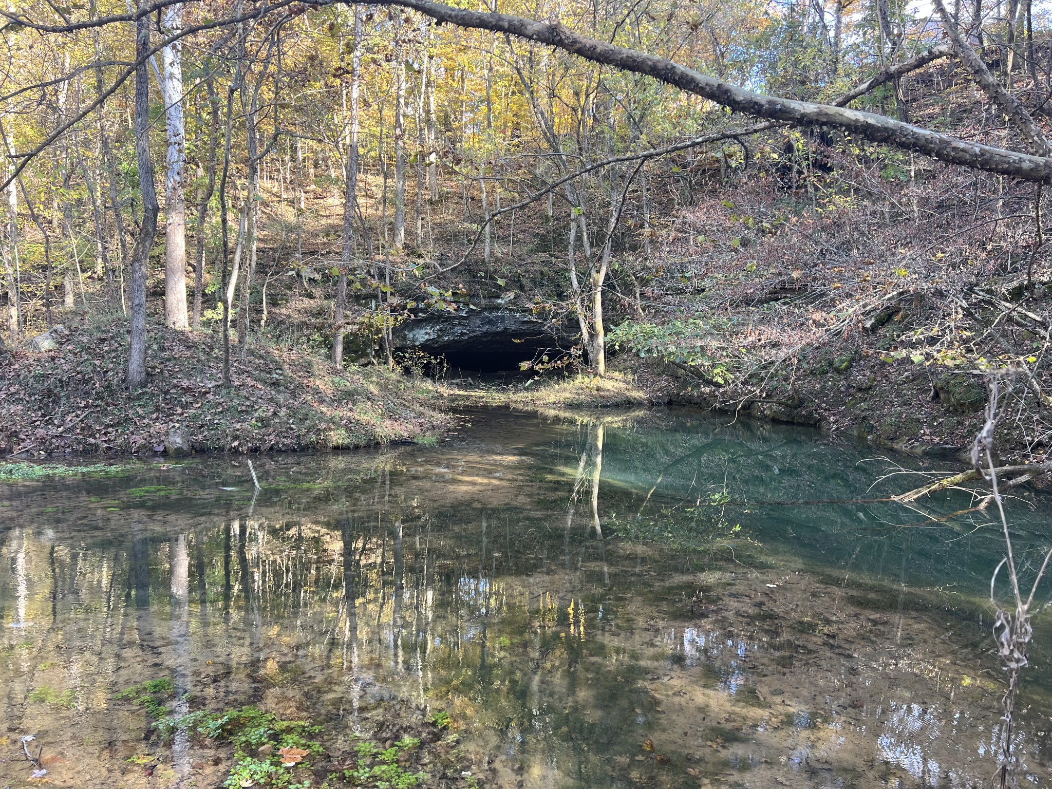 901 Britton Springs Road Clarksville, TN 37042 - Photo 7 of 31 a backyard of a house with lots of green space