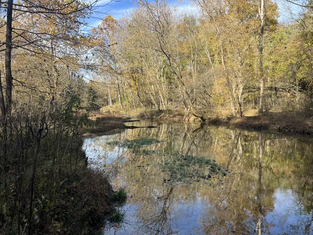 a view of house with a yard