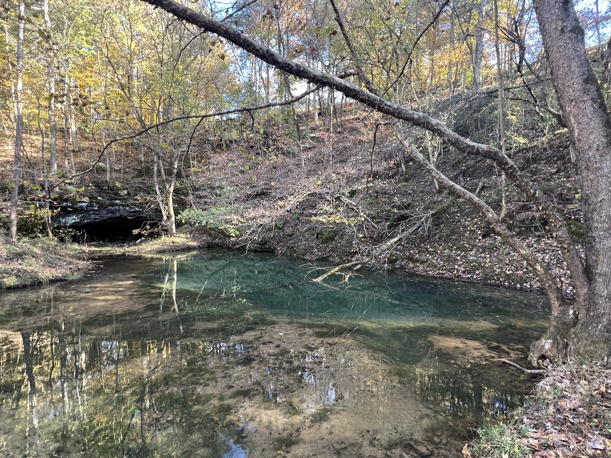 901 Britton Springs Road Clarksville, TN 37042 - Photo 9 of 31 a backyard of a house with lots of green space