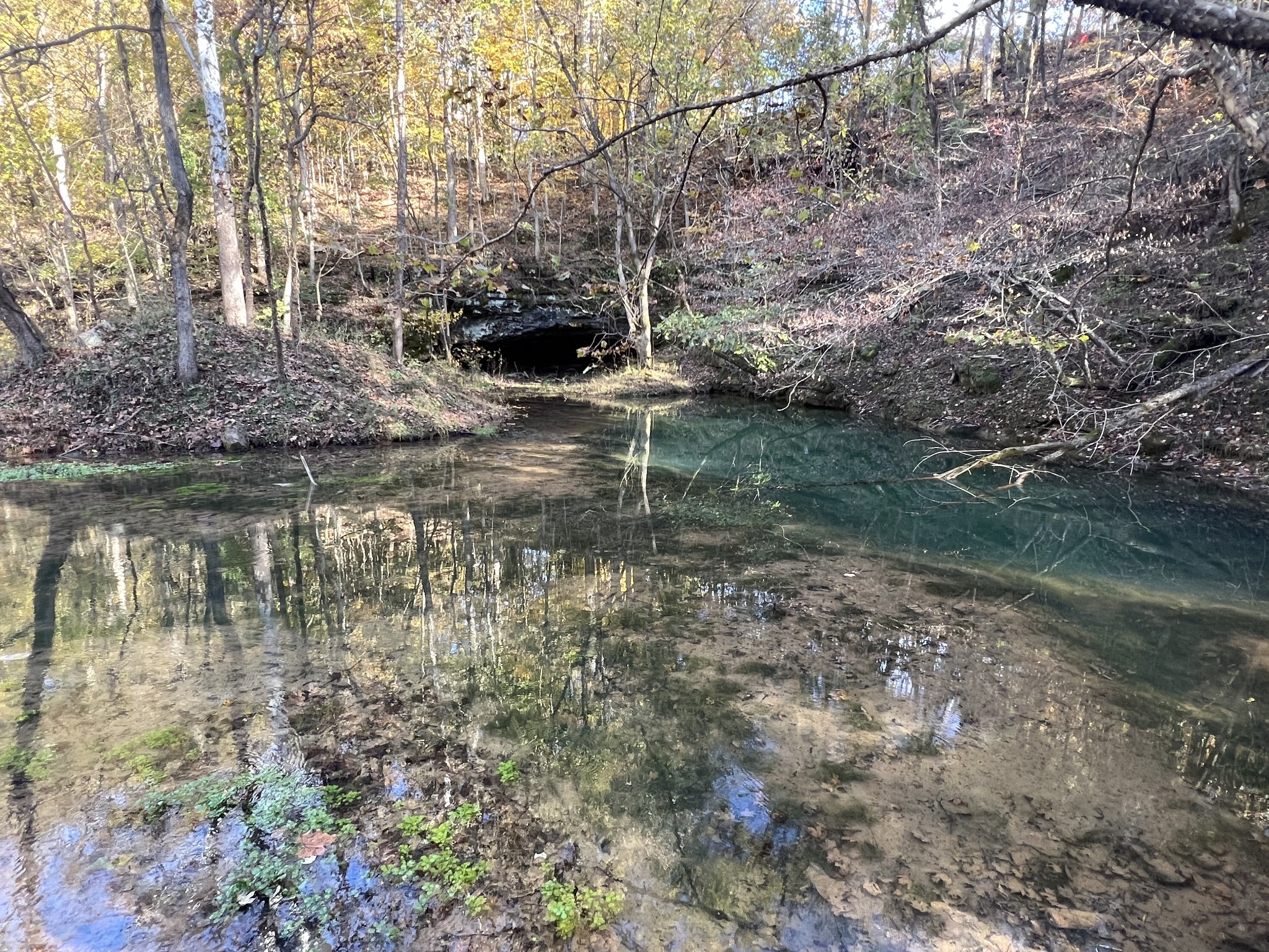 901 Britton Springs Road Clarksville, TN 37042 - Photo 10 of 31 a view of yard with trees