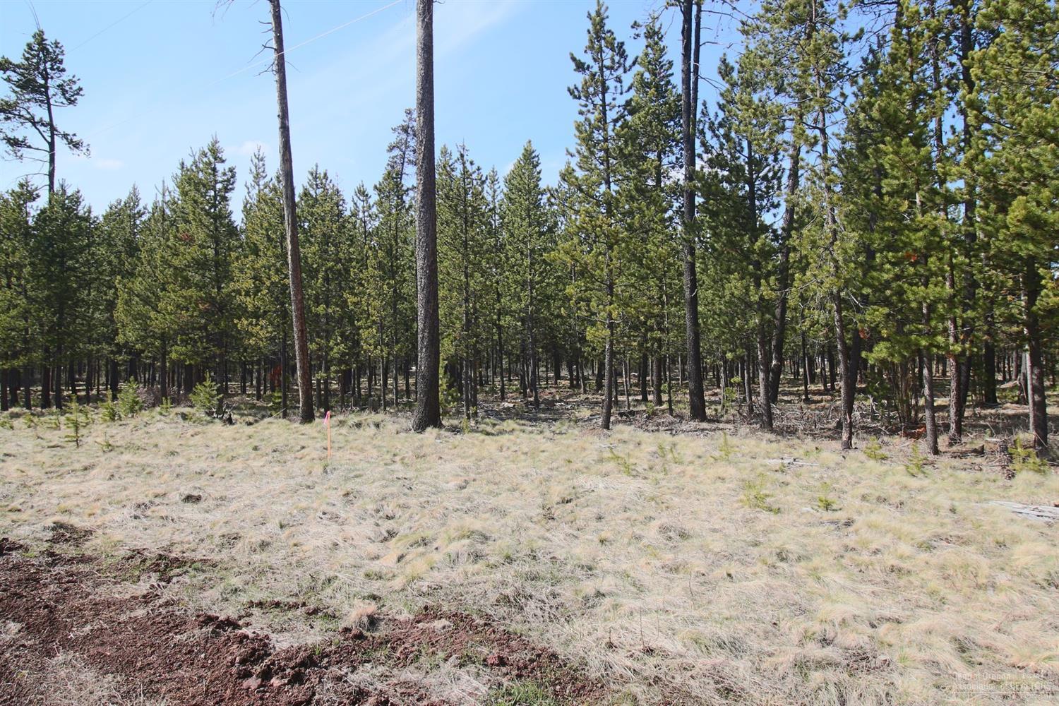 17164 Indio Road Bend, OR 97707 - Photo 4 of 6 Additional Photo
