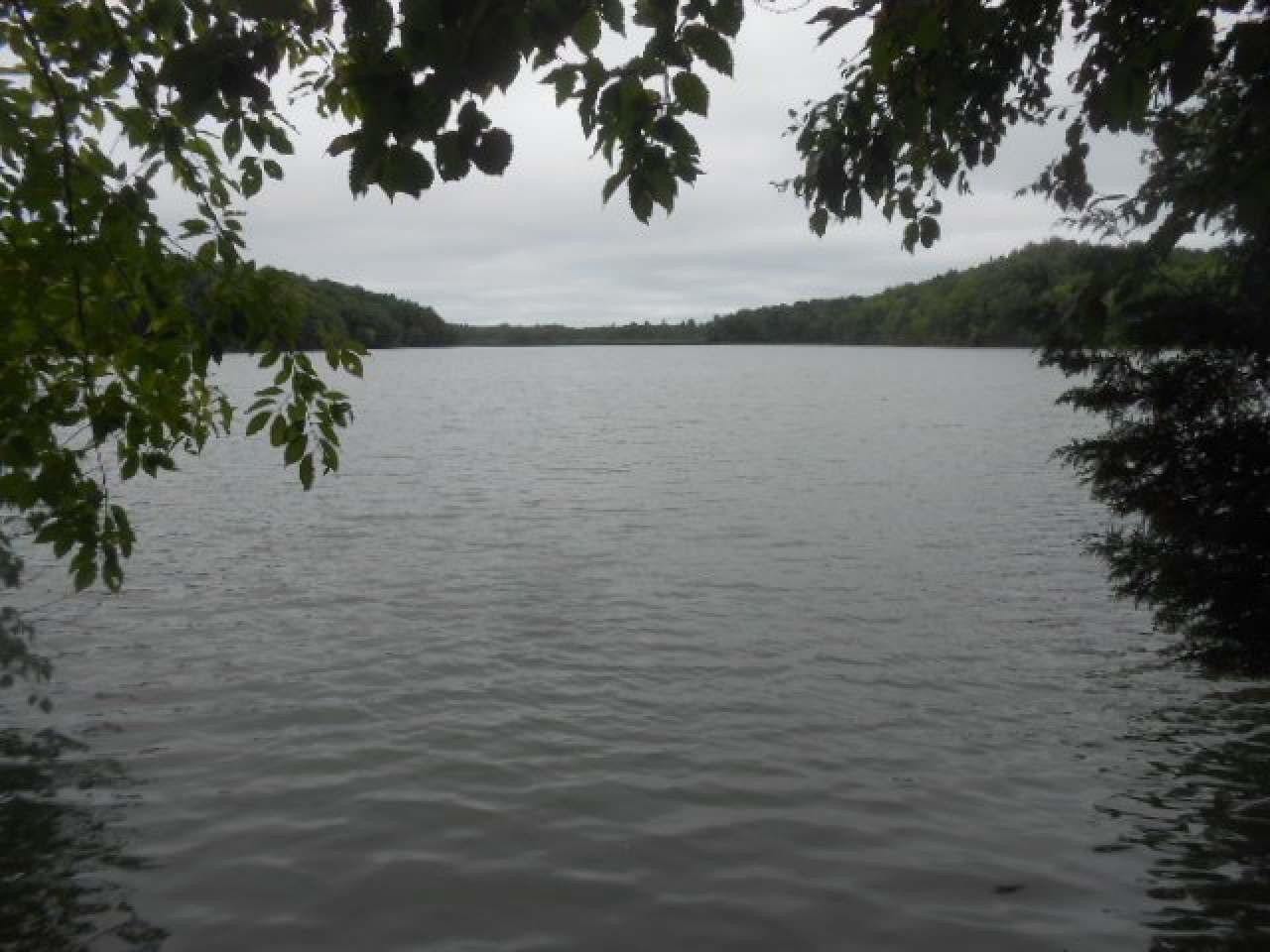 On Highview Lane, Unit LOT 12 Rib Lake, WI 54470 - Photo 1 of 9 Gallery Image 1