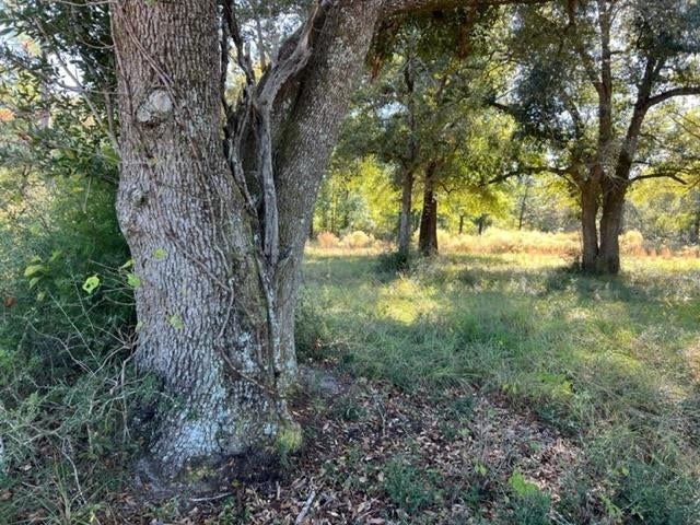 0 Unnamed Road Florala, AL 36442 - Photo 5 of 39 Gallery Image 5