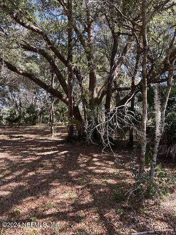 a view of tree next to a yard