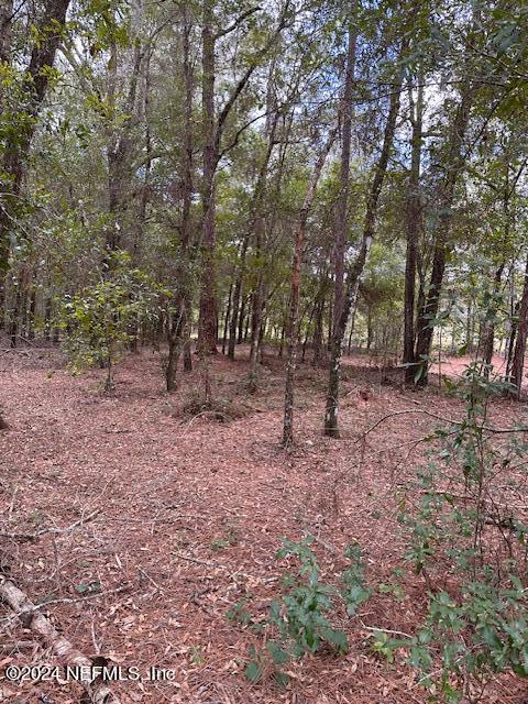 09 Southeast 265th Court Road Umatilla, FL 32784 - Photo 25 of 38 a view of outdoor space with trees
