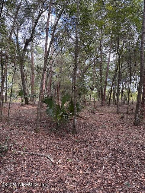 09 Southeast 265th Court Road Umatilla, FL 32784 - Photo 27 of 38 a view of a forest that has large trees