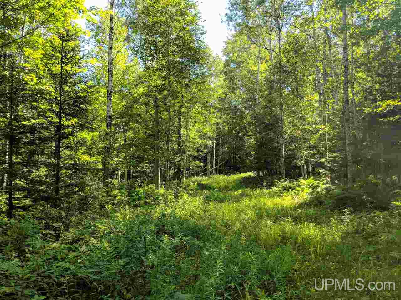 33-ac Bates Amasa Road Crystal Falls, MI 49920 - Photo 4 of 11