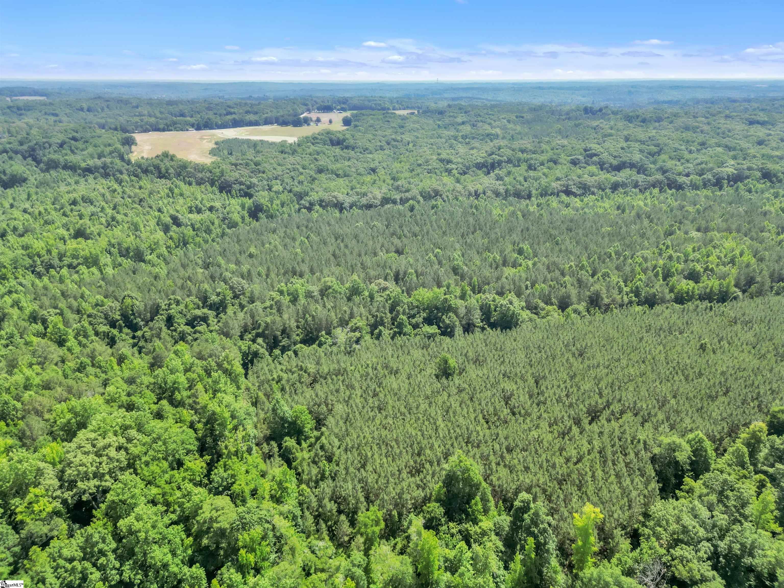 0 Simpson Mill Road Laurens, SC 29360 - Photo 12 of 20