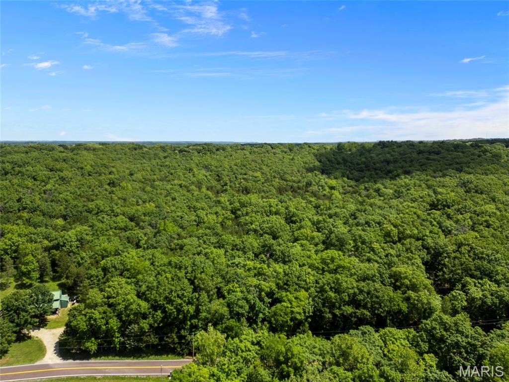 0 Victoria Road Festus, MO 63028 - Photo 4 of 9