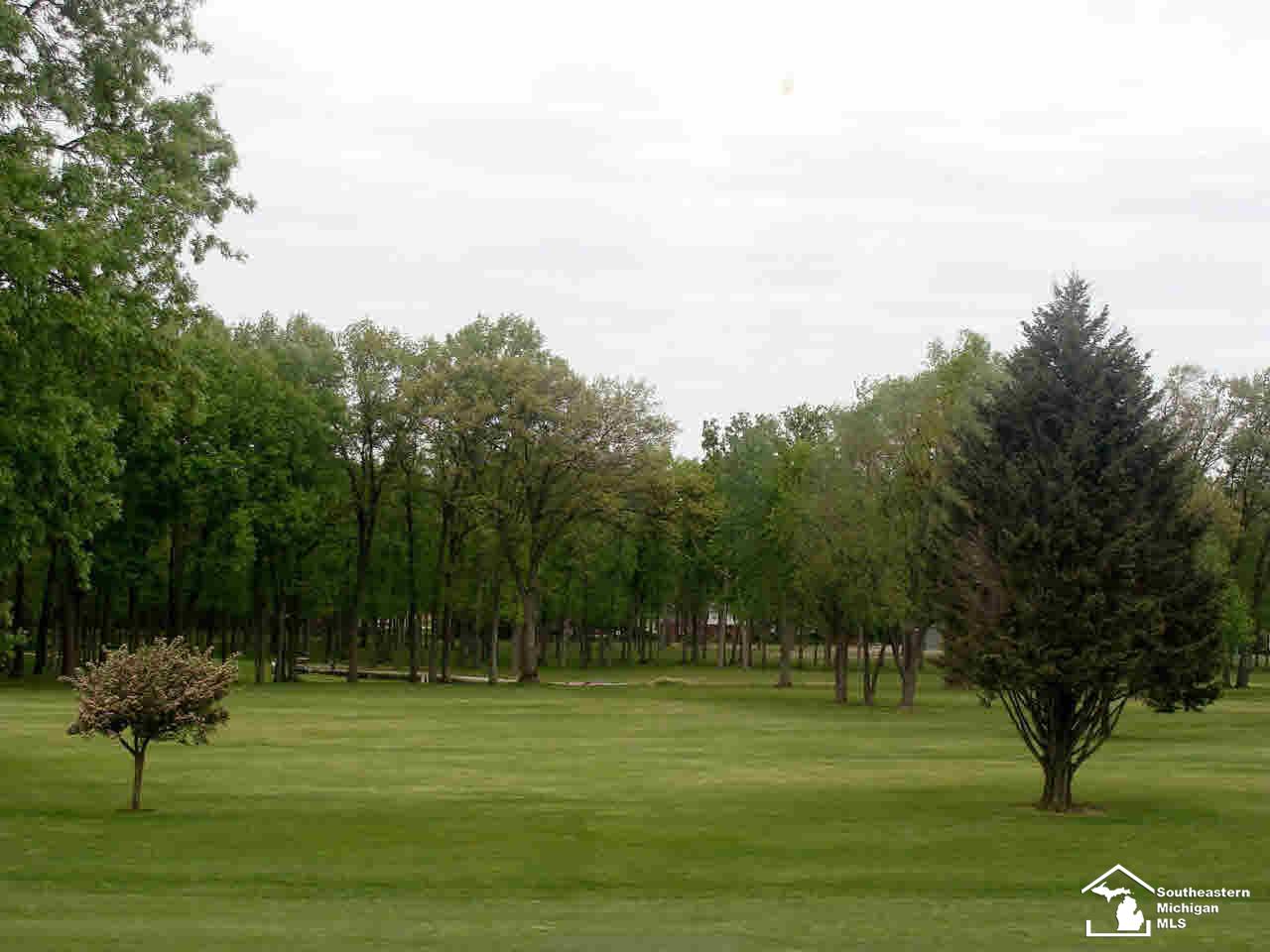 808 Golf Ridge Circle Dundee, MI 48131 - Photo 3 of 17 View of golf course