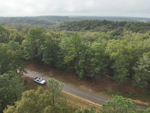 a view of a forest with a street