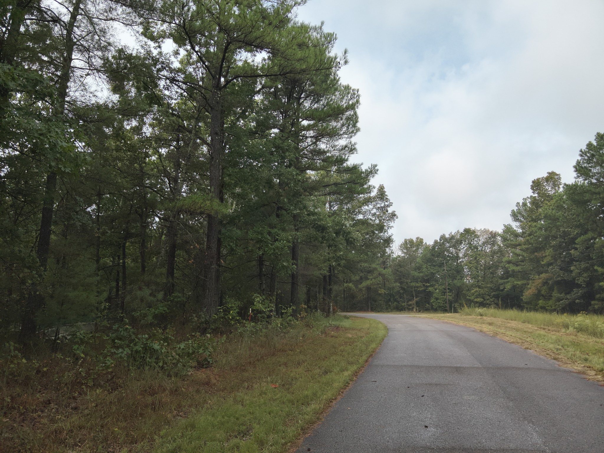 46 Hardison Lane Linden, TN 37096 - Photo 2 of 9 a view of a street view