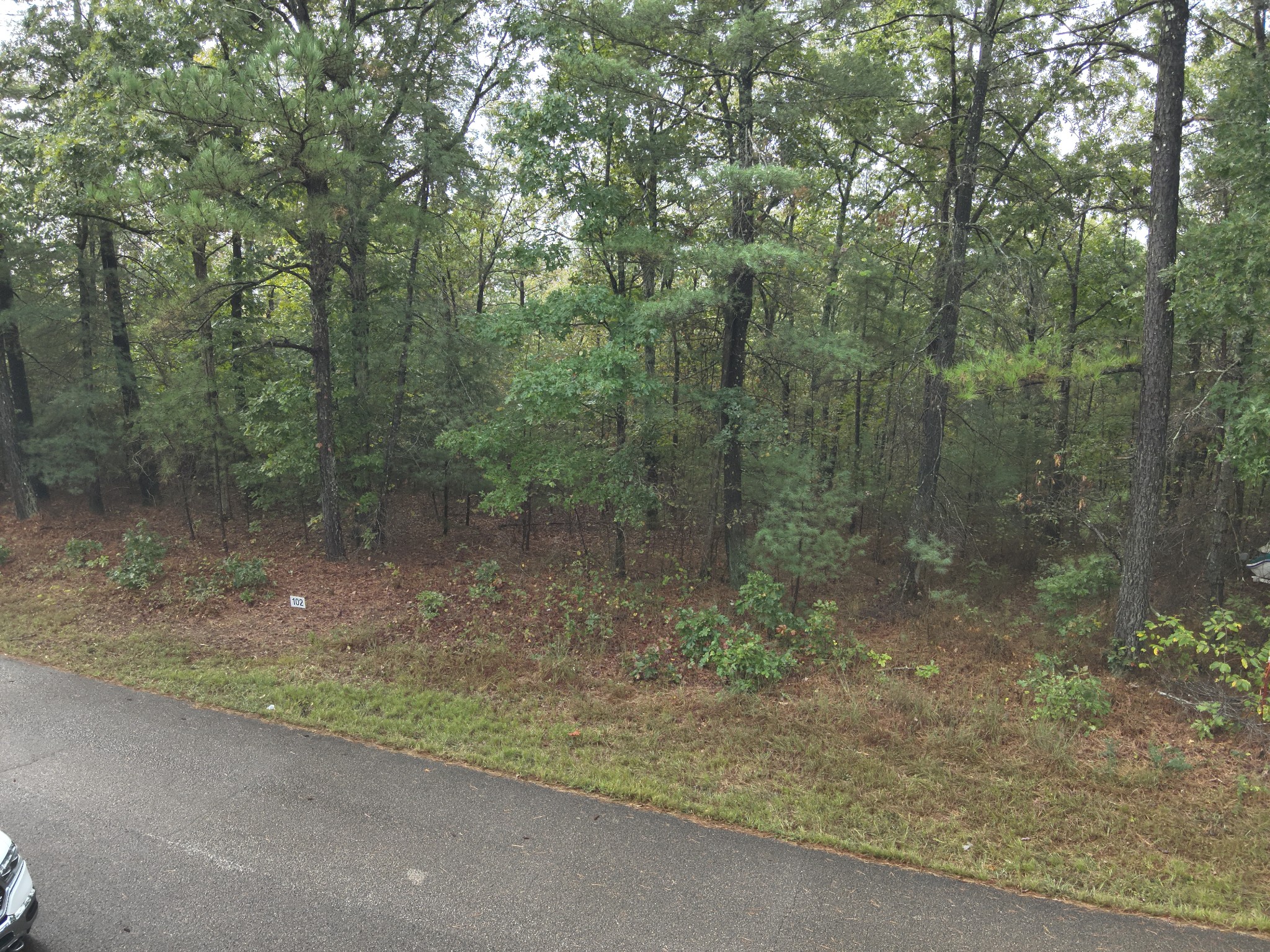 46 Hardison Lane Linden, TN 37096 - Photo 3 of 9 a view of a forest with trees in the background