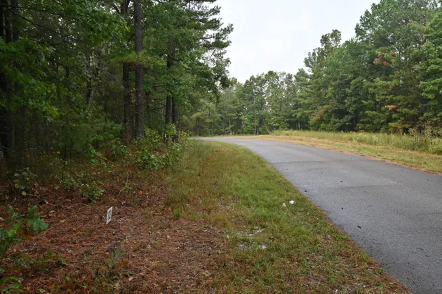 a view of a yard with large trees