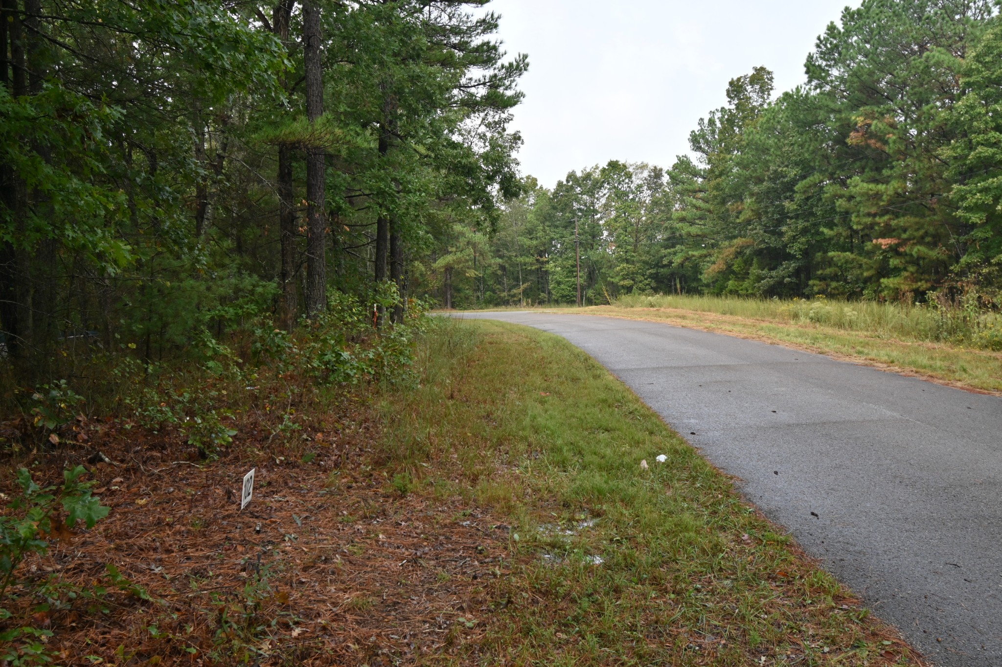 46 Hardison Lane Linden, TN 37096 - Photo 9 of 9 a view of a yard with large trees