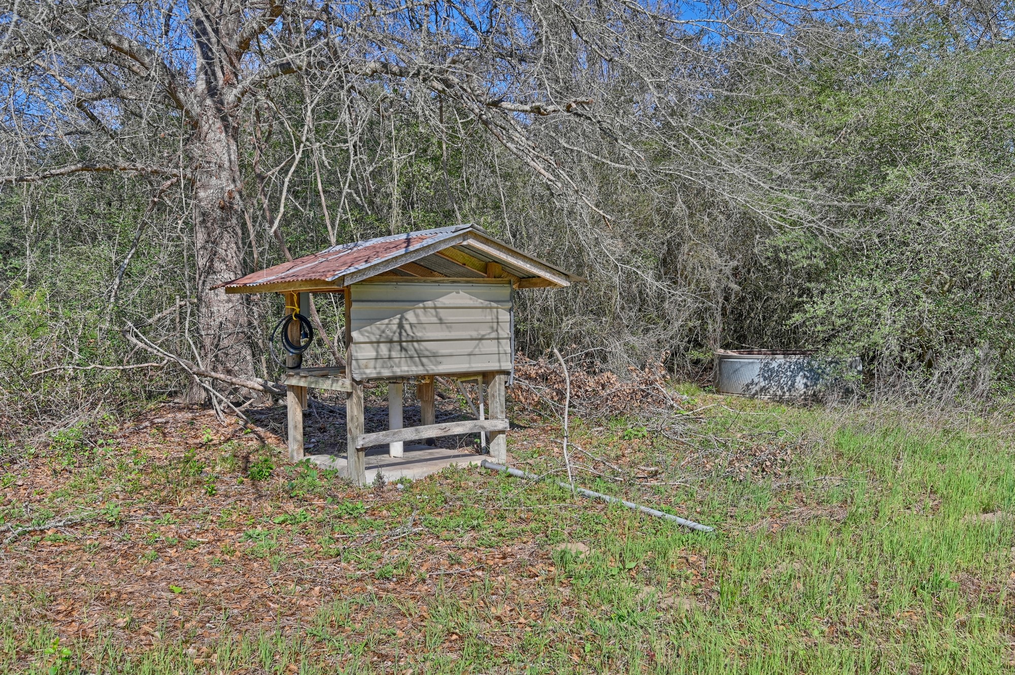 0 Zettel Road New Ulm, TX 78950 - Photo 4 of 11
