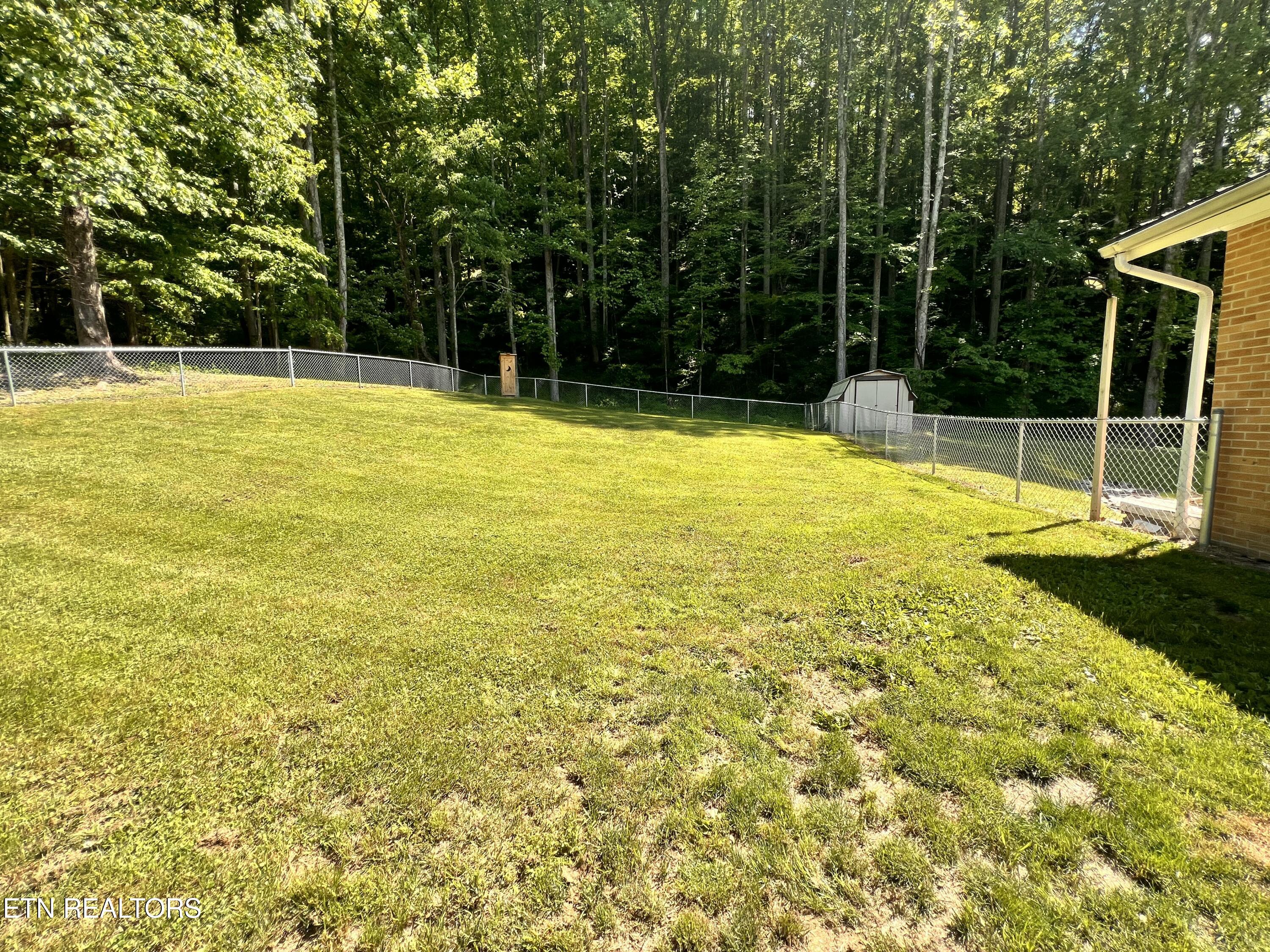 4040 Trail Hollow Road Cosby, TN 37722 - Photo 26 of 60 IMG_7278