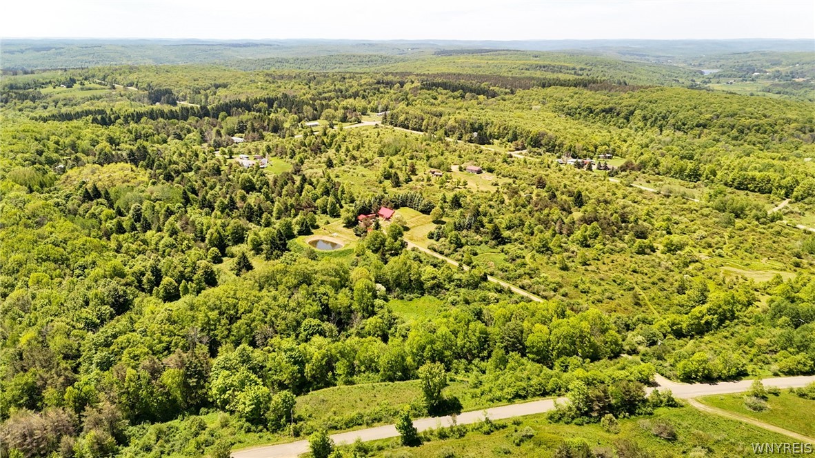 517 West Branch Road Farmersville, NY 14737 - Photo 44 of 49