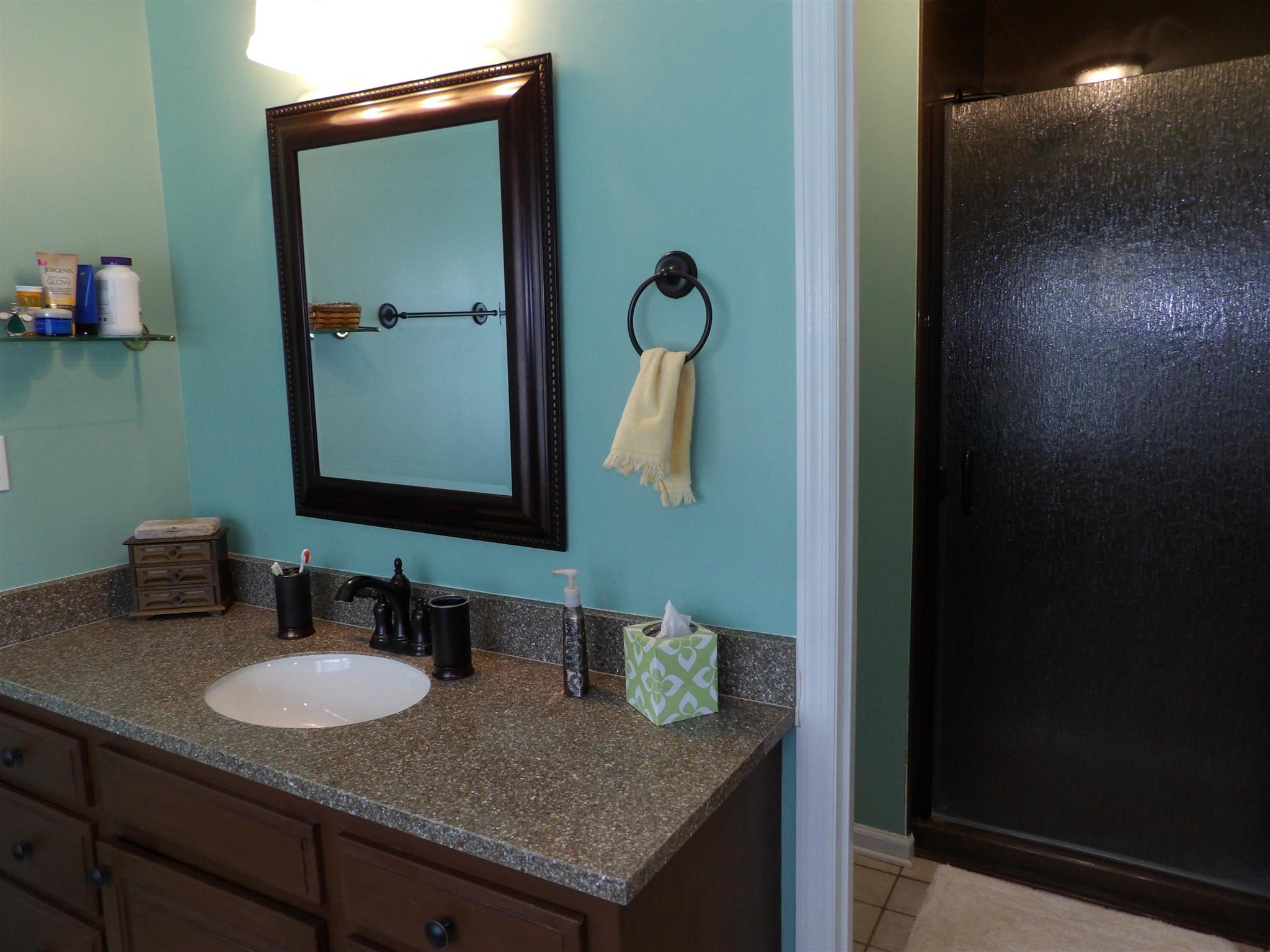197 Spicer Road Burns, TN 37029 - Photo 19 of 28 a bathroom with a granite countertop sink and a mirror