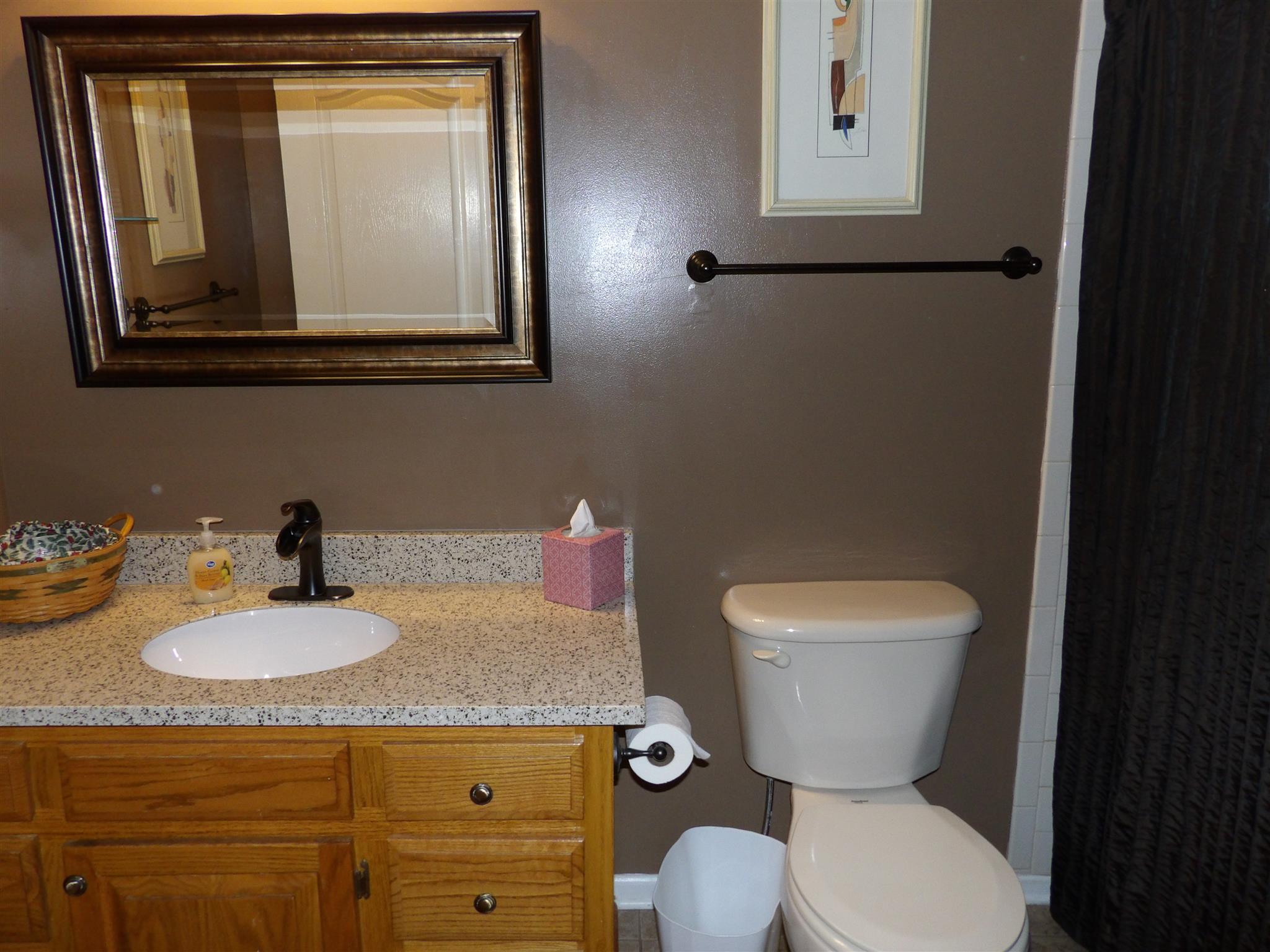 197 Spicer Road Burns, TN 37029 - Photo 25 of 28 a bathroom with a toilet sink and mirror