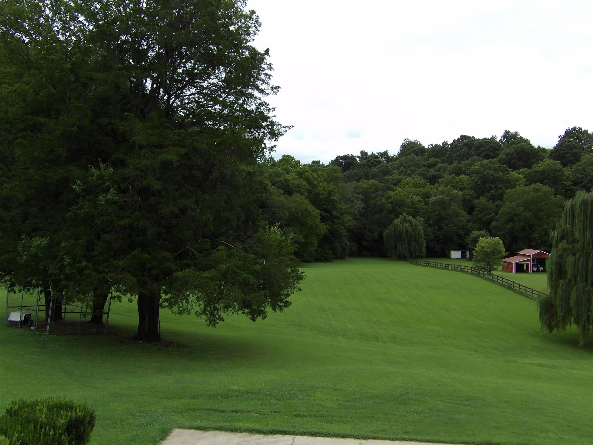 197 Spicer Road Burns, TN 37029 - Photo 6 of 28 a view of a grassy field with trees