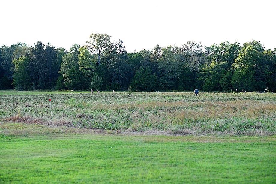 7941 Manus Road Murfreesboro, TN 37127 - Photo 23 of 30 Open field area