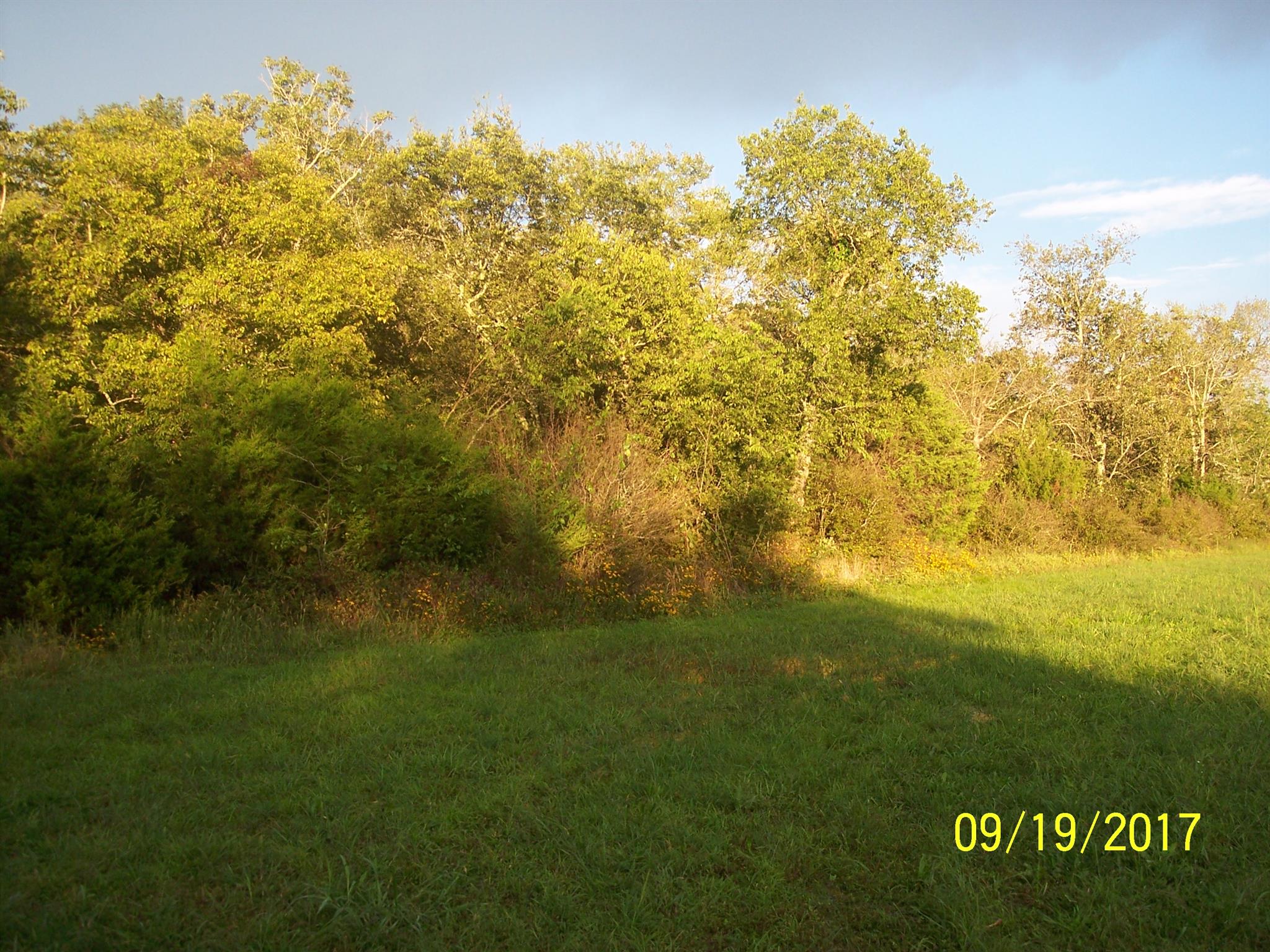 7941 Manus Road Murfreesboro, TN 37127 - Photo 25 of 30 View of wooded area of property