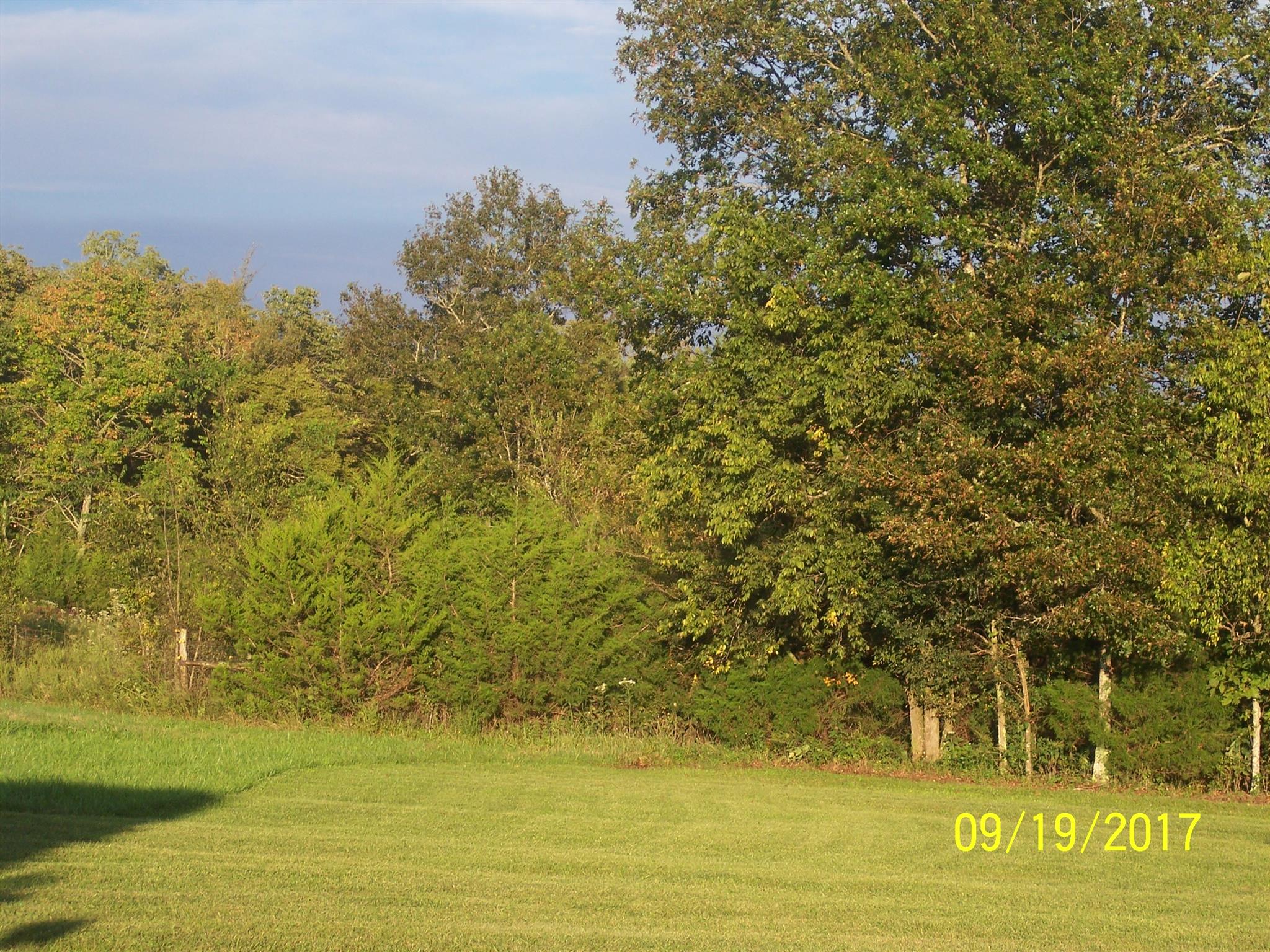 7941 Manus Road Murfreesboro, TN 37127 - Photo 26 of 30 Wooded land at back of property