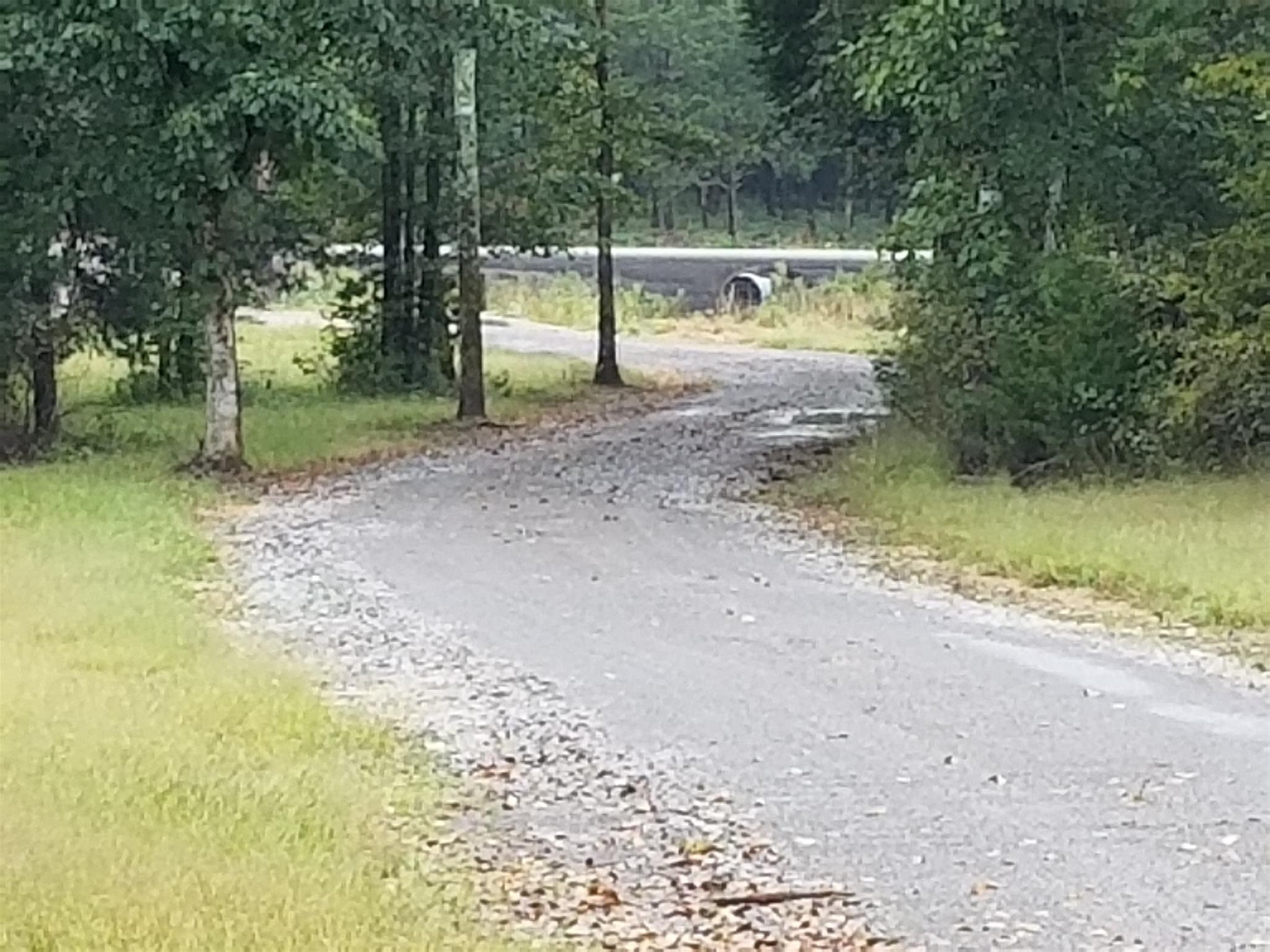 7941 Manus Road Murfreesboro, TN 37127 - Photo 27 of 30 Gravel driveway looking toward road