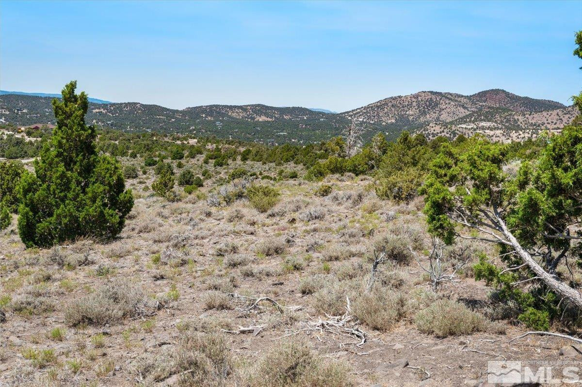 3610 Overland Road Reno, NV 89521 - Photo 12 of 18 a view of a mountain with a mountain in the background