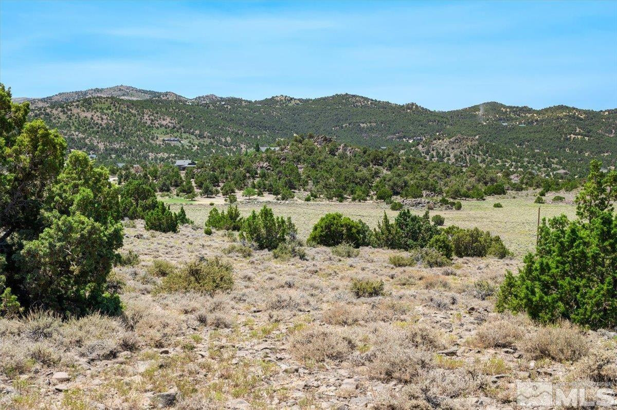 3610 Overland Road Reno, NV 89521 - Photo 13 of 18 a view of a mountain with a tree in the background