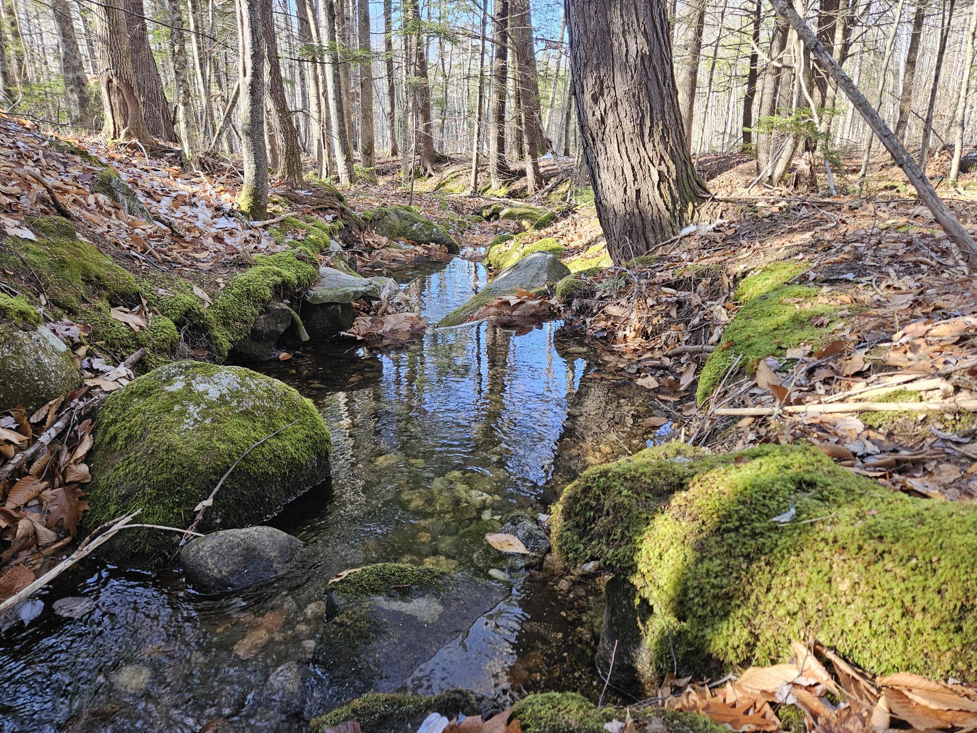 0 French Hill Road Bethel, ME 04217 - Photo 8 of 18 Stream